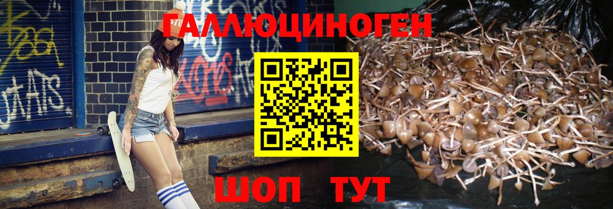 Галлюциногенные грибы прущие грибы  Вход с VPN  Рассказово 